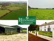 25 acre residential farm for sale at raggestown ballinakill with hennessy auctioneers
