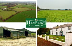 25 acre residential farm for sale at raggestown ballinakill with hennessy auctioneers