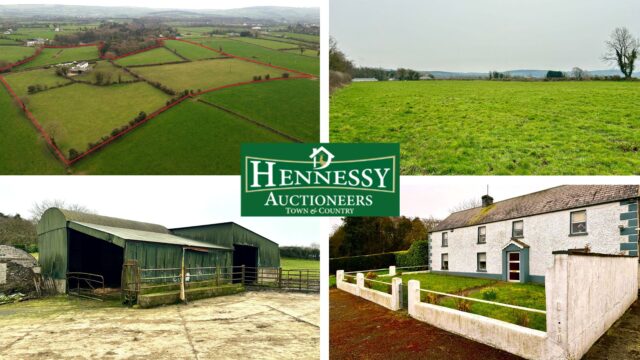 25 acre residential farm for sale at raggestown ballinakill with hennessy auctioneers