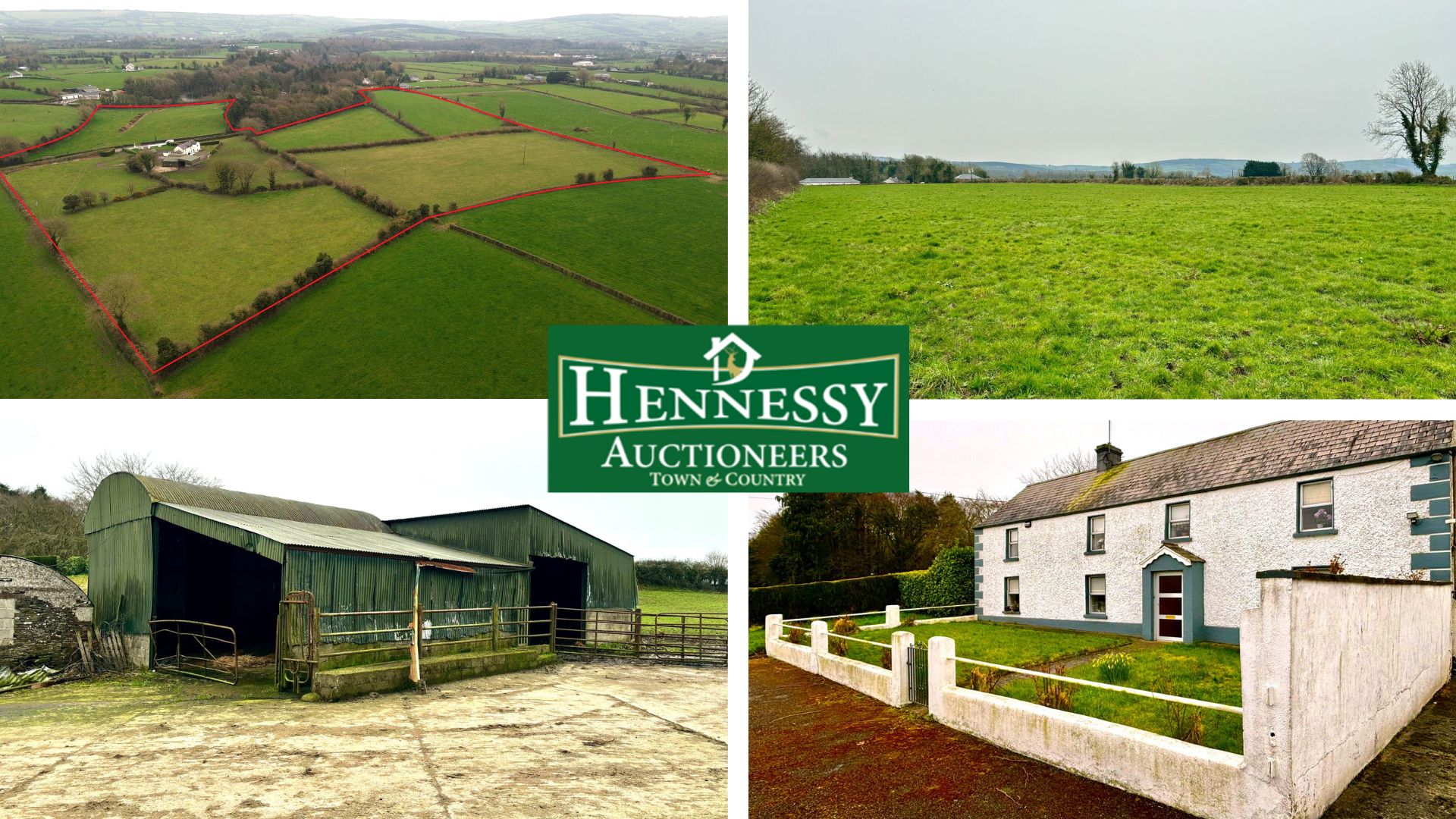 Property 25 acre residential farm for sale at Raggetstown, Ballinakill