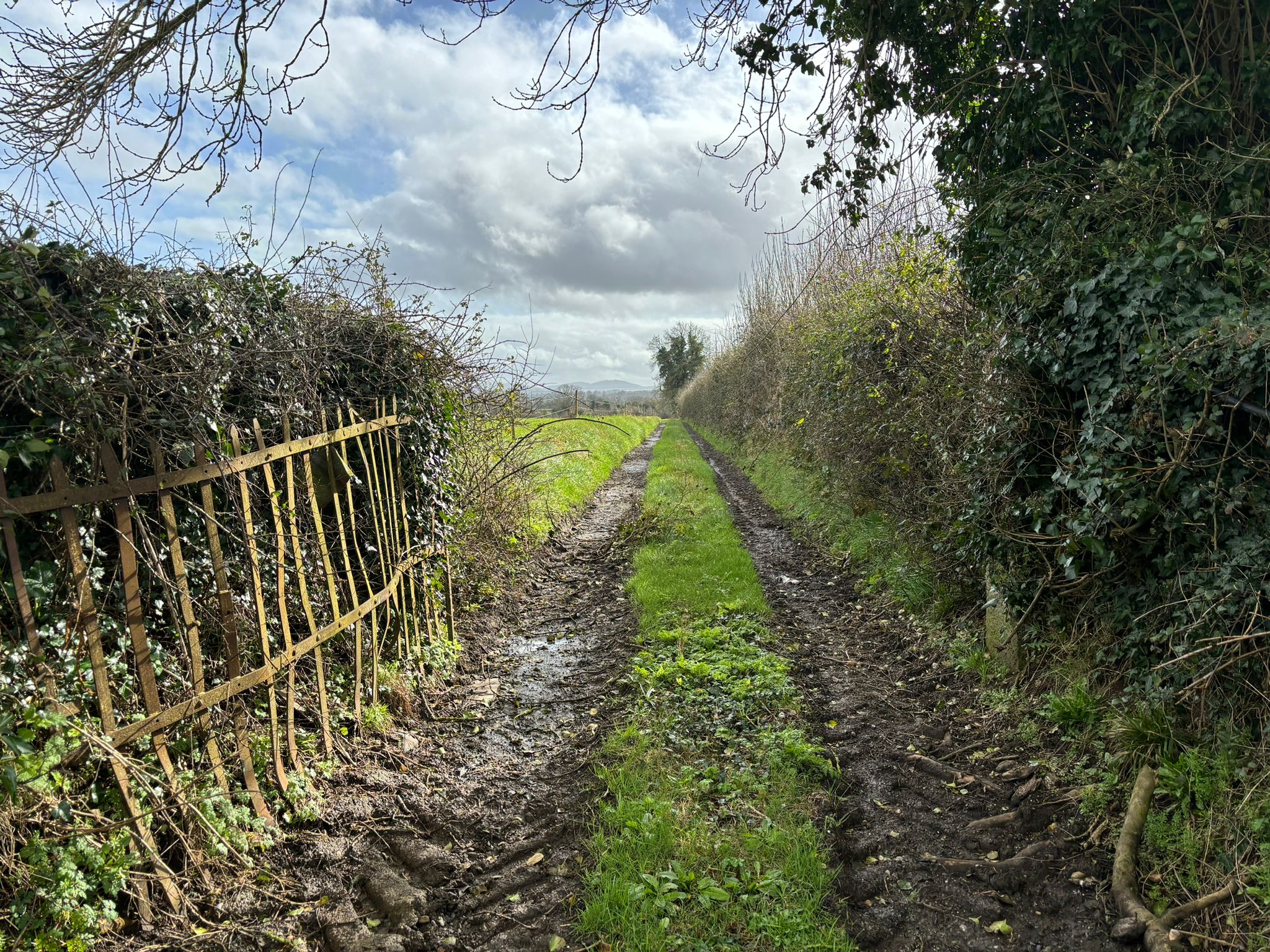 Lands at Derryguile Montmellick