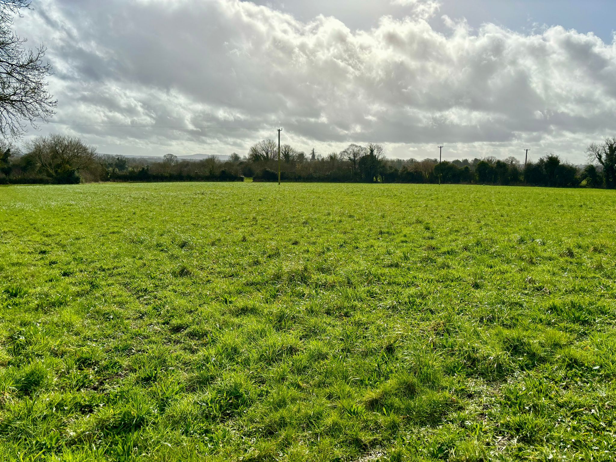 Lands at Derryguile Mountmellick