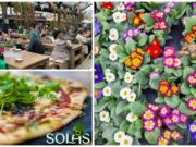 Solas St Patrick's Day Main