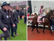 Tommy Ward Eagles Reign Cheltenham