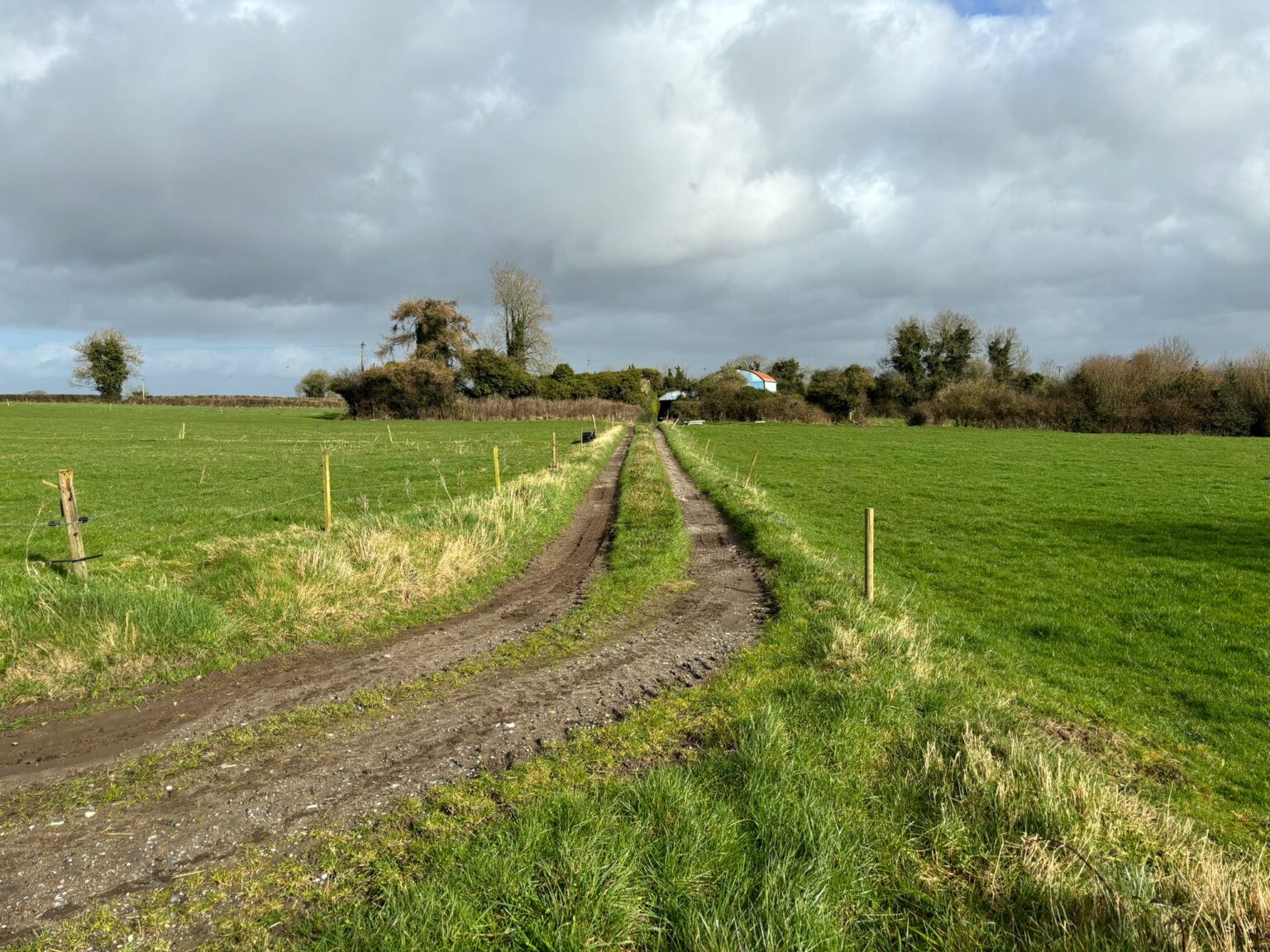 Property 42 acre farm and old house for sale at Derryguile, Mountmellick, Co. Laois, with
