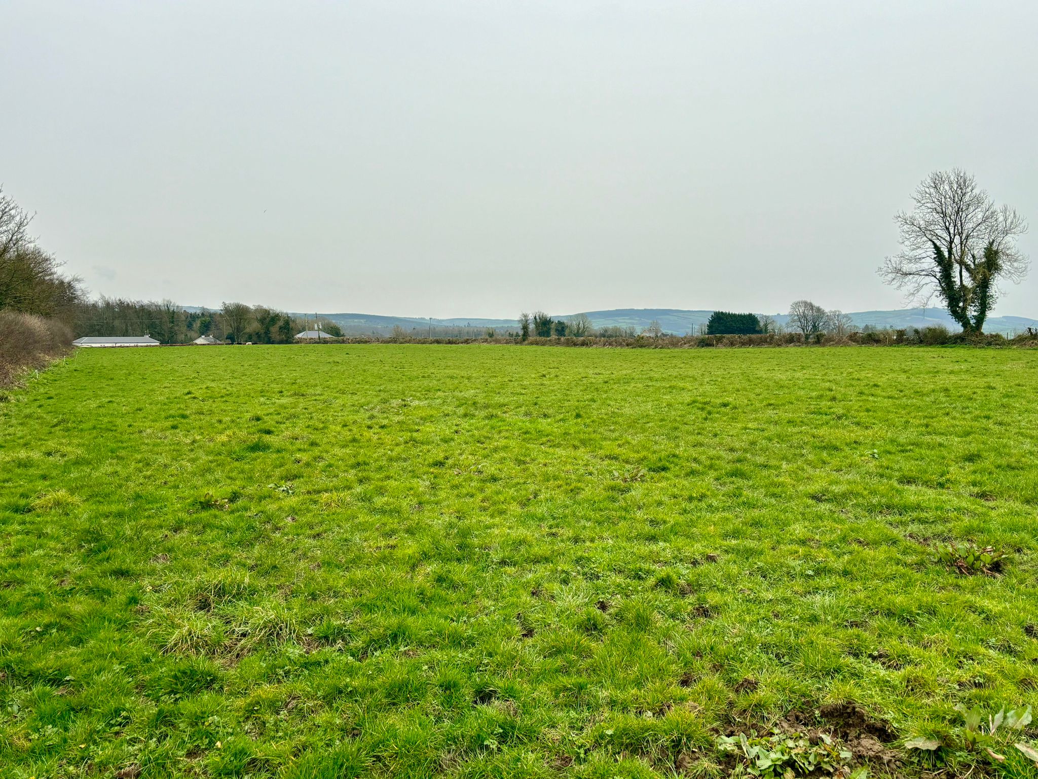 Lands at Raggetstown, Ballinakill for sale with Hennessy Auctioneers