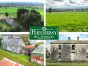 58 acre farm for sale at Northgrove Mountrath Co Laois with Hennessy Auctioneers