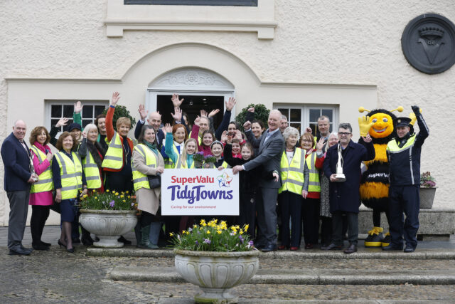 Abbeyleix Tidy Towns