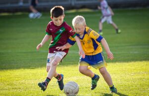 Laois GAA Go Games