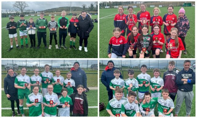 Laois Primary Schools 5-a-side soccer finals 2024