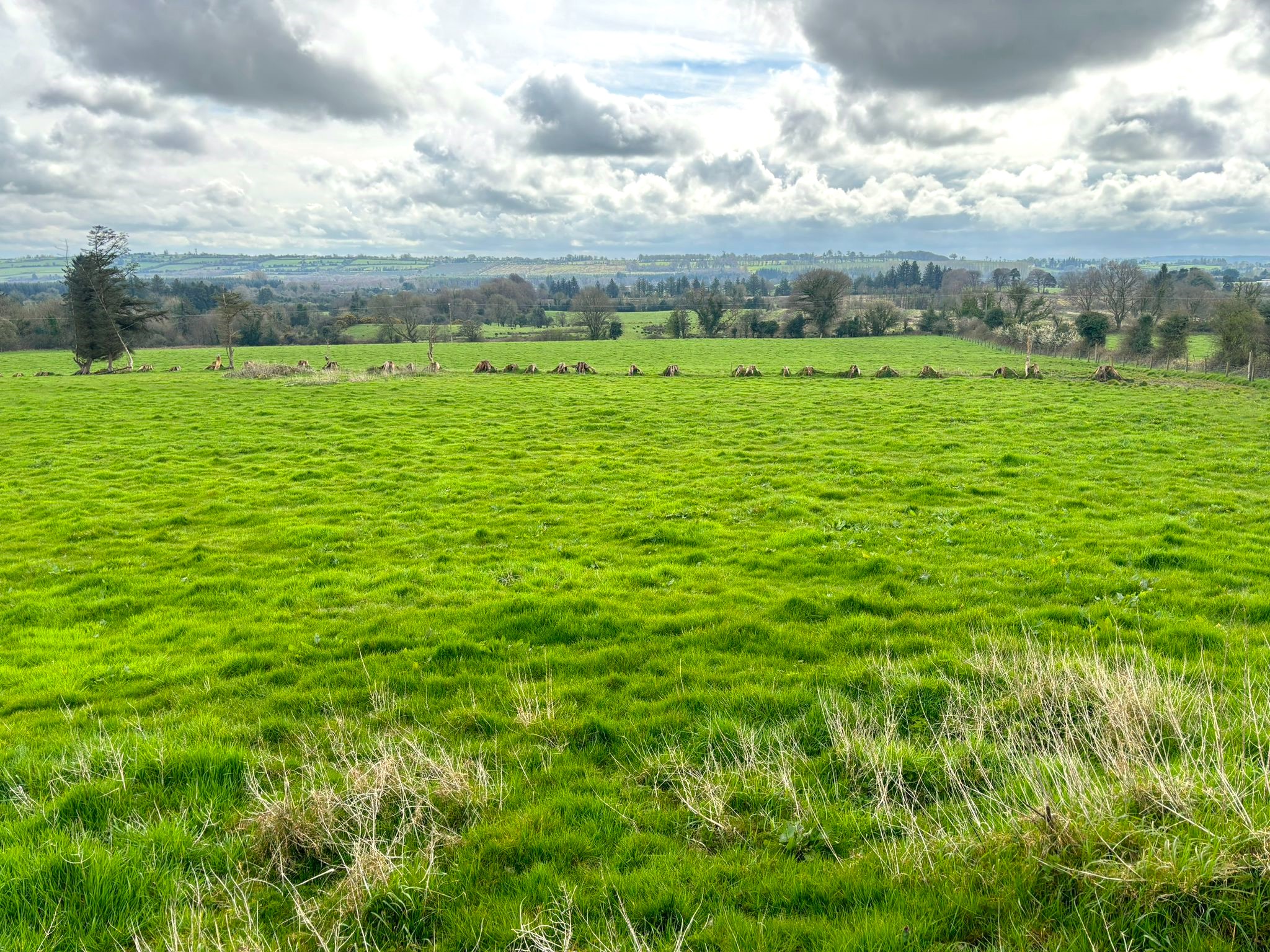 Lands in permanent pasture at Northgrove farm holding.