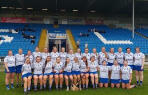 Laois Camogie Team 2024 (2)