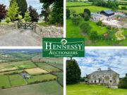 50 acre residential farm for sale at rosenallis Co Laois with Hennessy Auctioneers
