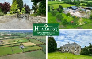 50 acre residential farm for sale at rosenallis Co Laois with Hennessy Auctioneers