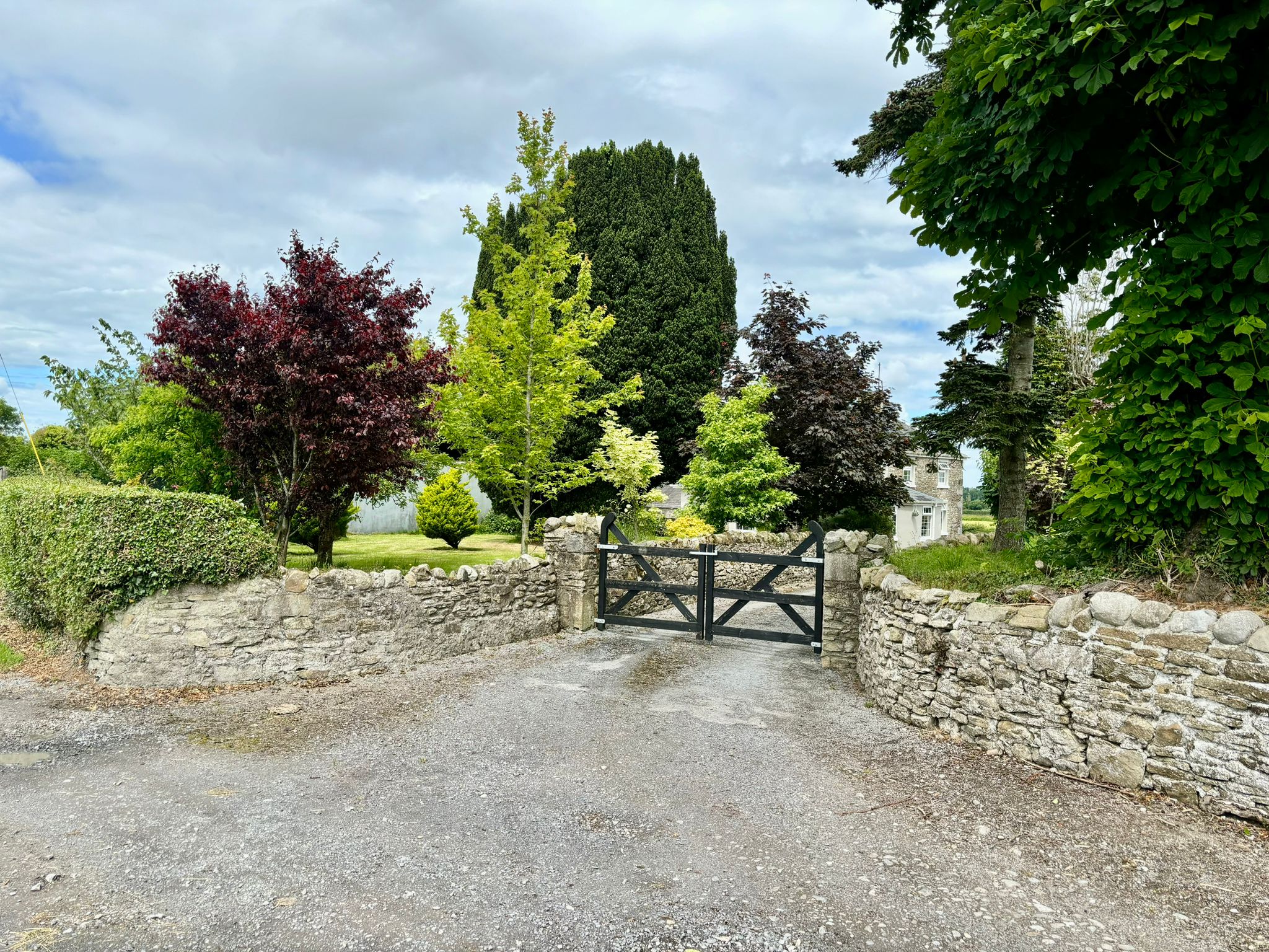 50 acre residential farm at Rosenallis Co Laois for sale with Hennessy Auctioneers