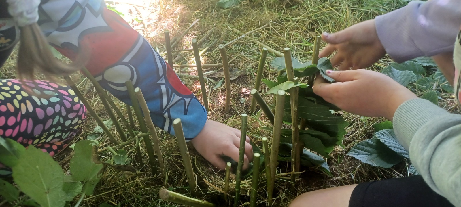 LaoisToday summer camp listing 2024 Siobhan jordan outdoor art camp
