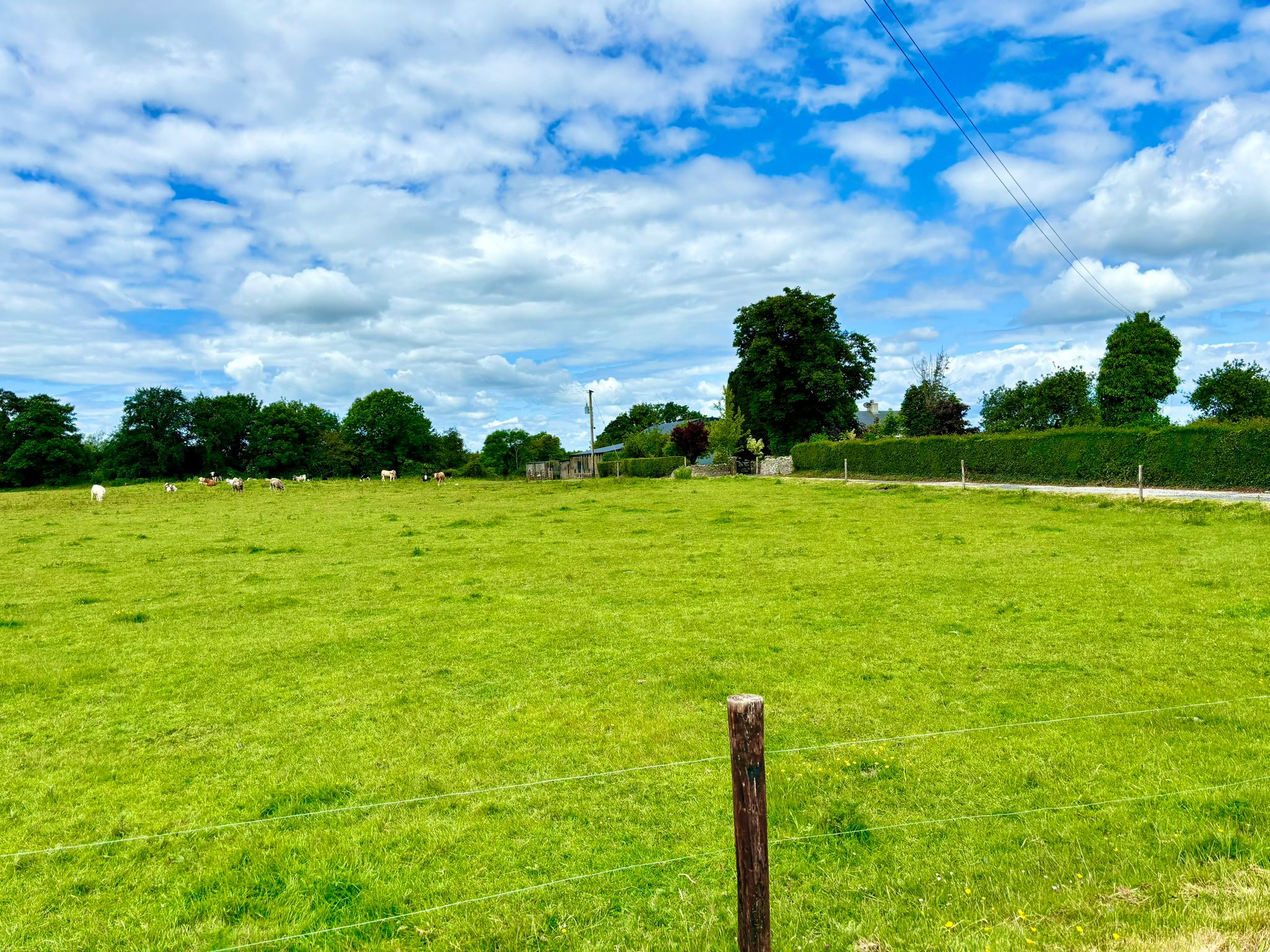 50 acre residential farm at Rosenallis Co Laois for sale with Hennessy Auctioneers