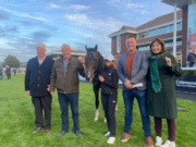Killeaney Bear Charlie Kewin Shanahoe Horse