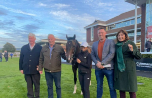 Killeaney Bear Charlie Kewin Shanahoe Horse