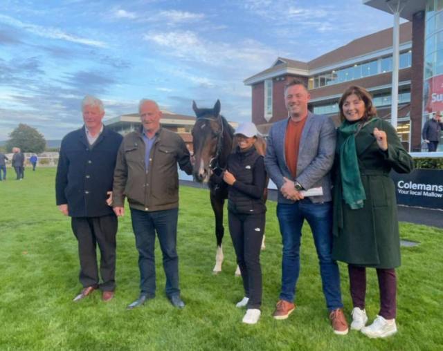 Killeaney Bear Charlie Kewin Shanahoe Horse
