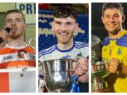Laois IHC Team of the Year 2024