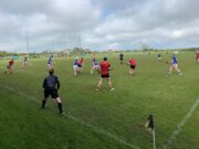 Laois senior hurlers down