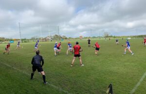 Laois senior hurlers down