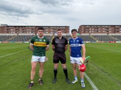 Laois senior hurlers Kerry