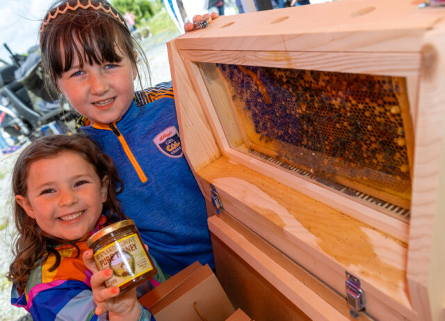 Laois Beekeepers Association new apiary opening 06