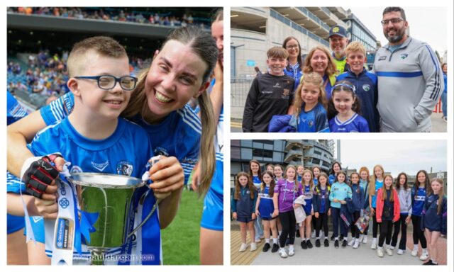 Main All-Ireland Laois Junior Premier Camogie win